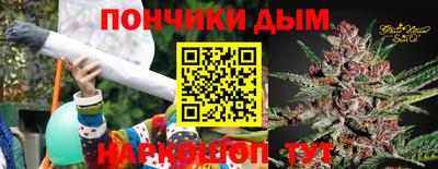 молекула духа Будённовск