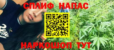 молекула духа Будённовск