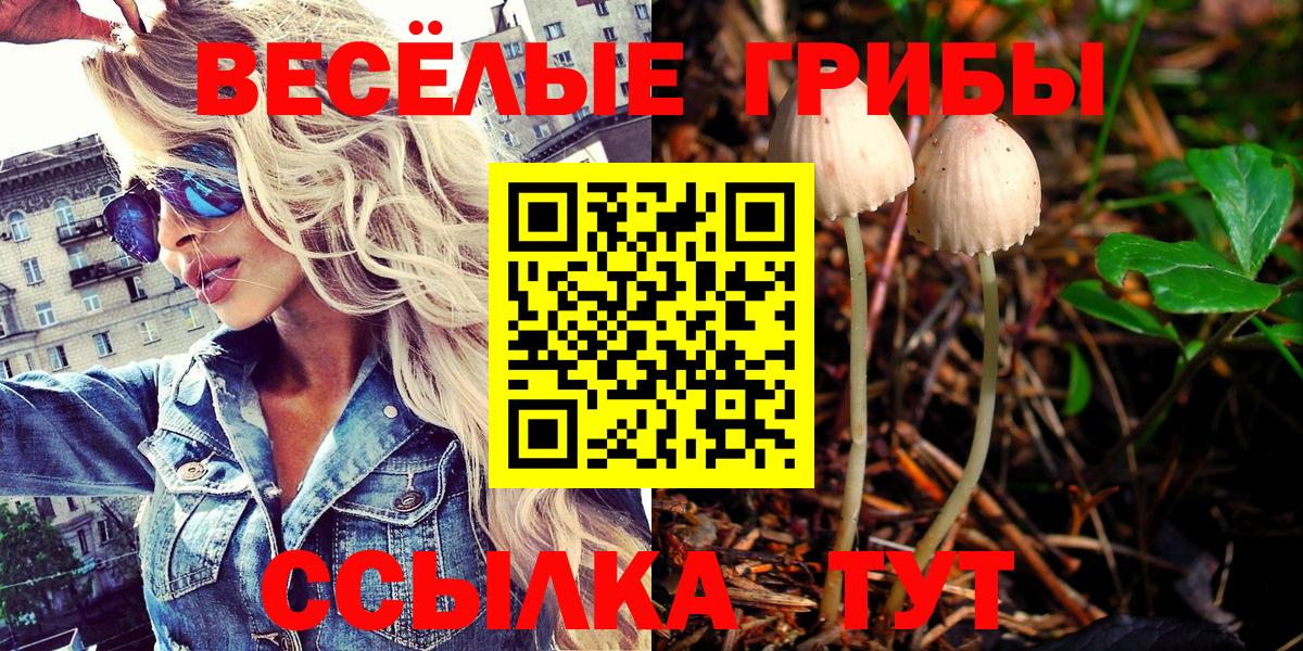 где купить наркотик  Галлюциногенные грибы Cubensis  Вход с VPN  Красногорск 